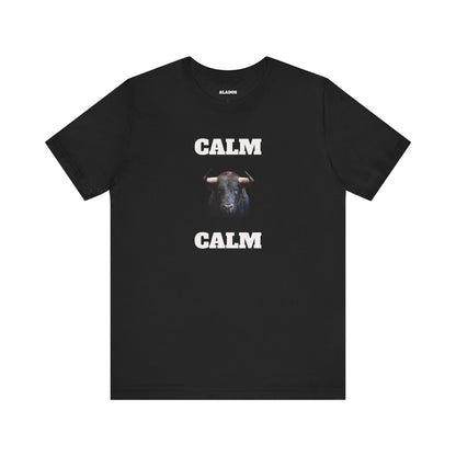 Funny Unisex Tee, Sarcastic T Shirt, Holiday Gift, Casual Wear, Joke Clothing, Birthday Gift,Mexican Humor Tee. 'Calm... Calm'