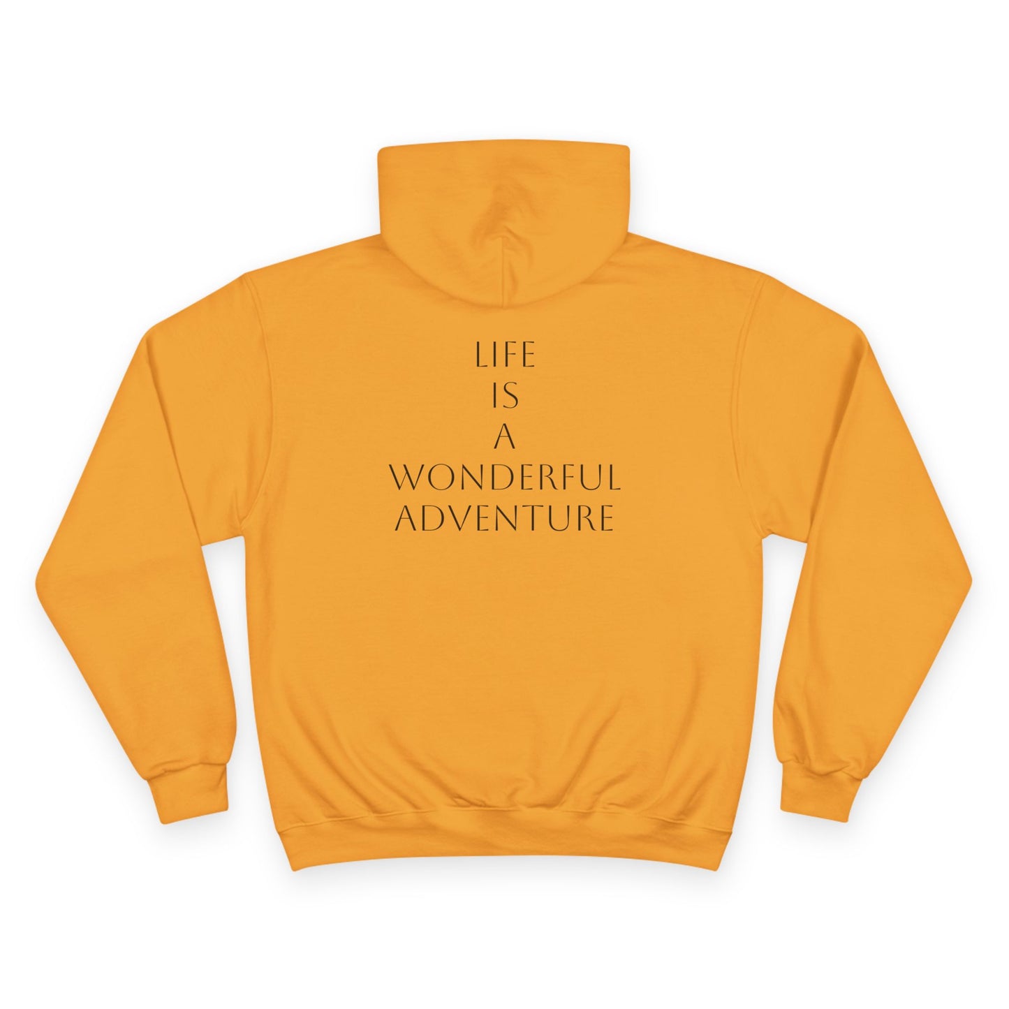 Sporting Champion Hoodie,Unique Design For Adventure Lovers,Great Gift for Holidays,Neutral Gender Hoodie. 'ALADOS:Life is a Wonderful Adventure'