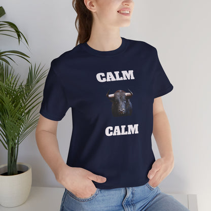 Funny Unisex Tee, Sarcastic T Shirt, Holiday Gift, Casual Wear, Joke Clothing, Birthday Gift,Mexican Humor Tee. 'Calm... Calm'