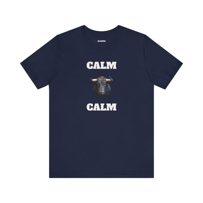 Funny Unisex Tee, Sarcastic T Shirt, Holiday Gift, Casual Wear, Joke Clothing, Birthday Gift,Mexican Humor Tee. 'Calm... Calm'