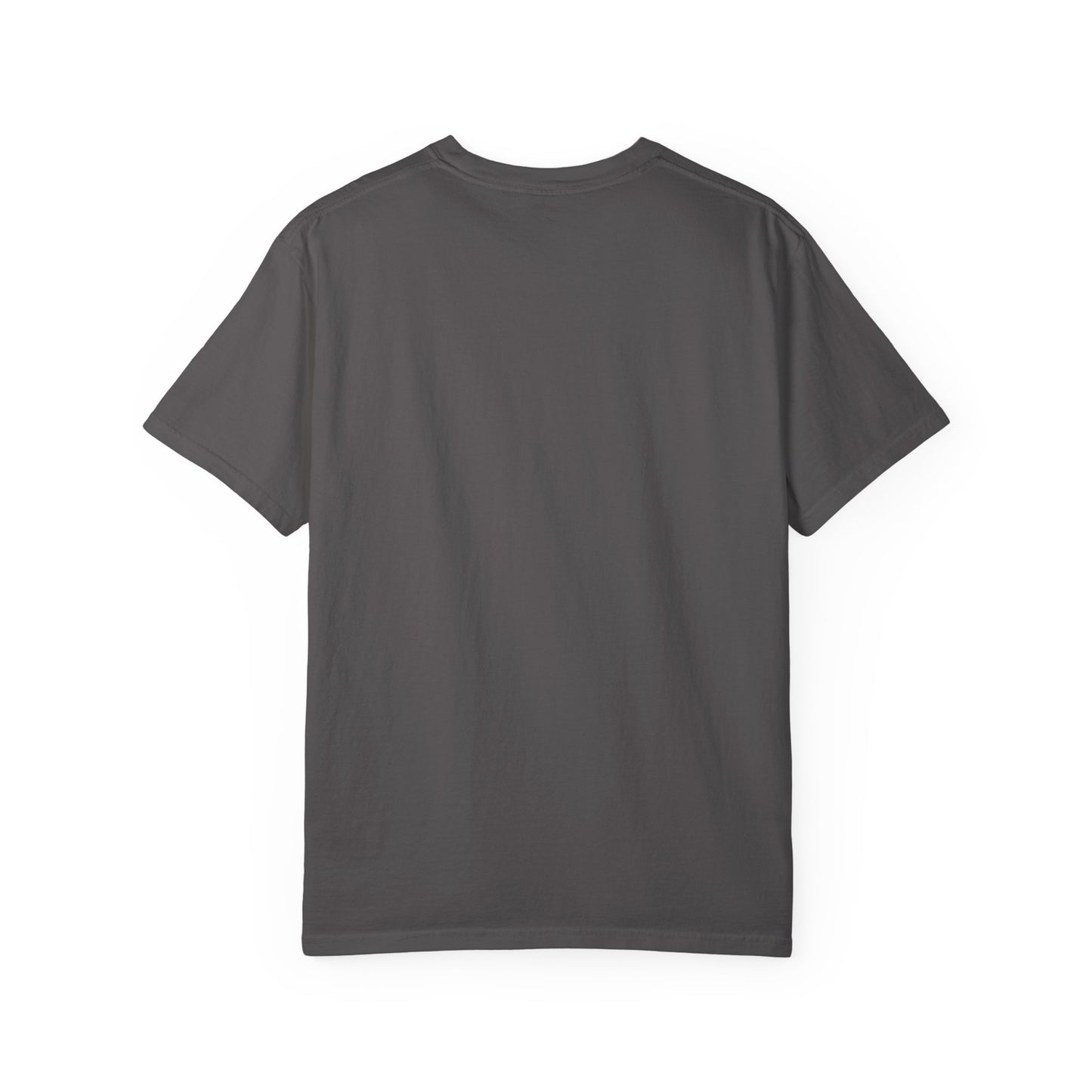 Funny Unisex Garment-Dyed T-Shirt.Mexican Humor T-shirt Nomas ves burro  y quieres...viaje.