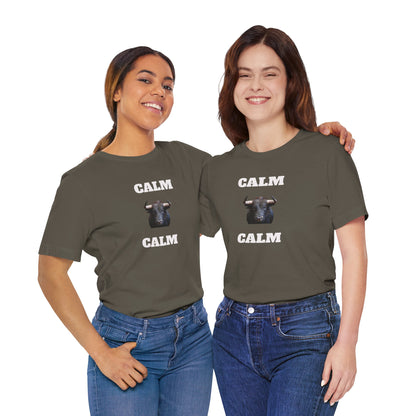 Funny Unisex Tee, Sarcastic T Shirt, Holiday Gift, Casual Wear, Joke Clothing, Birthday Gift,Mexican Humor Tee. 'Calm... Calm'