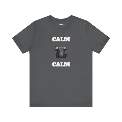 Funny Unisex Tee, Sarcastic T Shirt, Holiday Gift, Casual Wear, Joke Clothing, Birthday Gift,Mexican Humor Tee. 'Calm... Calm'