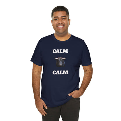 Funny Unisex Tee, Sarcastic T Shirt, Holiday Gift, Casual Wear, Joke Clothing, Birthday Gift,Mexican Humor Tee. 'Calm... Calm'