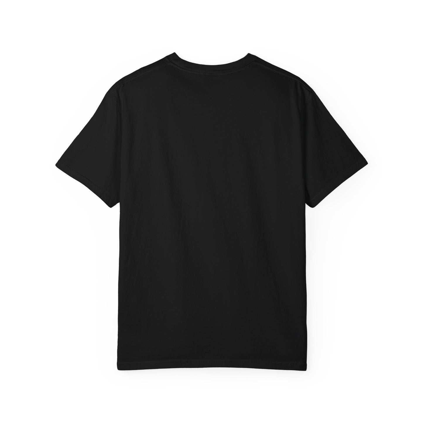 Funny Unisex Garment-Dyed T-Shirt.Mexican Humor T-shirt Nomas ves burro  y quieres...viaje.