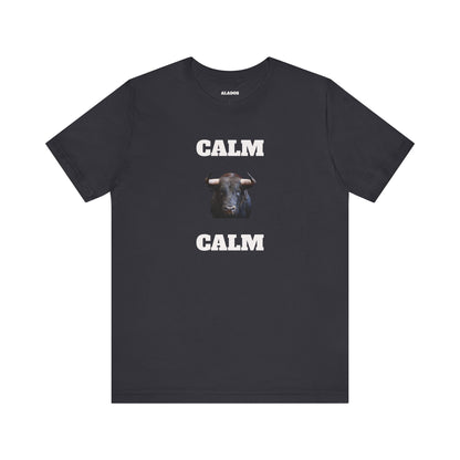 Funny Unisex Tee, Sarcastic T Shirt, Holiday Gift, Casual Wear, Joke Clothing, Birthday Gift,Mexican Humor Tee. 'Calm... Calm'