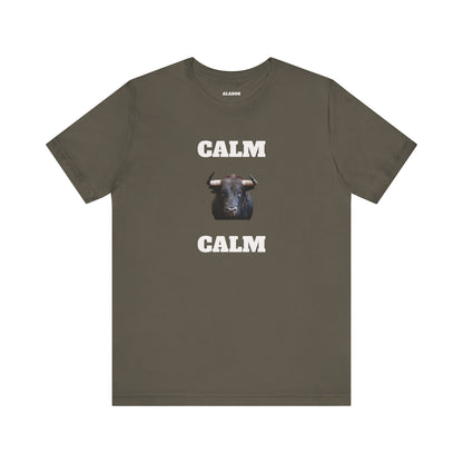 Funny Unisex Tee, Sarcastic T Shirt, Holiday Gift, Casual Wear, Joke Clothing, Birthday Gift,Mexican Humor Tee. 'Calm... Calm'