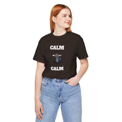 Funny Unisex Tee, Sarcastic T Shirt, Holiday Gift, Casual Wear, Joke Clothing, Birthday Gift,Mexican Humor Tee. 'Calm... Calm'