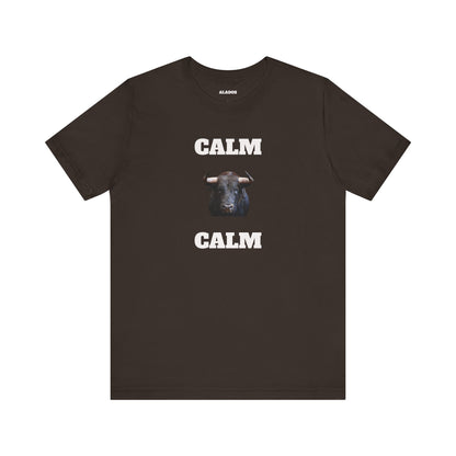 Funny Unisex Tee, Sarcastic T Shirt, Holiday Gift, Casual Wear, Joke Clothing, Birthday Gift,Mexican Humor Tee. 'Calm... Calm'